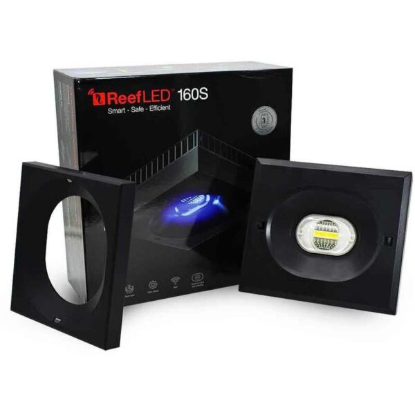 Red sea reef led