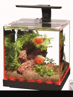 Edgelit Cube Aquarium
